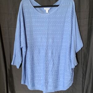 Market & Spruce Light Blue Textured sweater